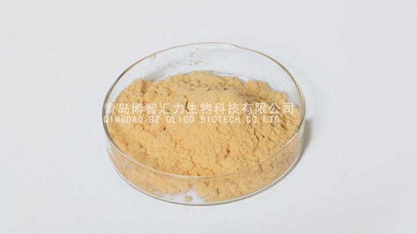 Feed Grade Chitosan Oligosaccharide